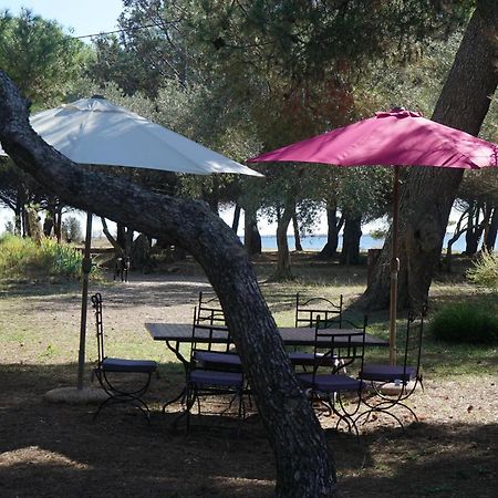 Joli Mas Au Bord De L'Etang De Thau Villa Марсилан Екстериор снимка