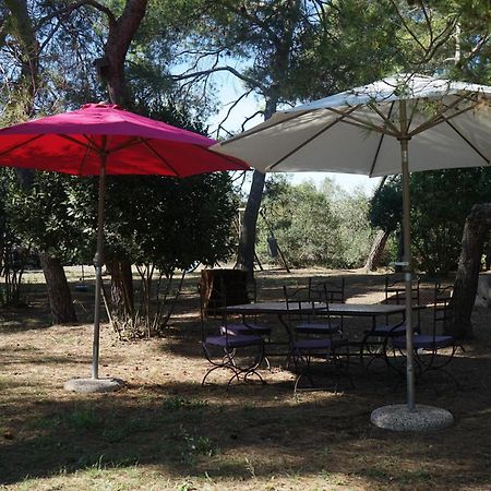 Joli Mas Au Bord De L'Etang De Thau Villa Марсилан Екстериор снимка