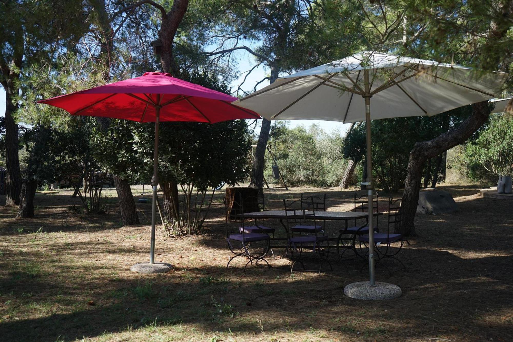 Joli Mas Au Bord De L'Etang De Thau Villa Марсилан Екстериор снимка